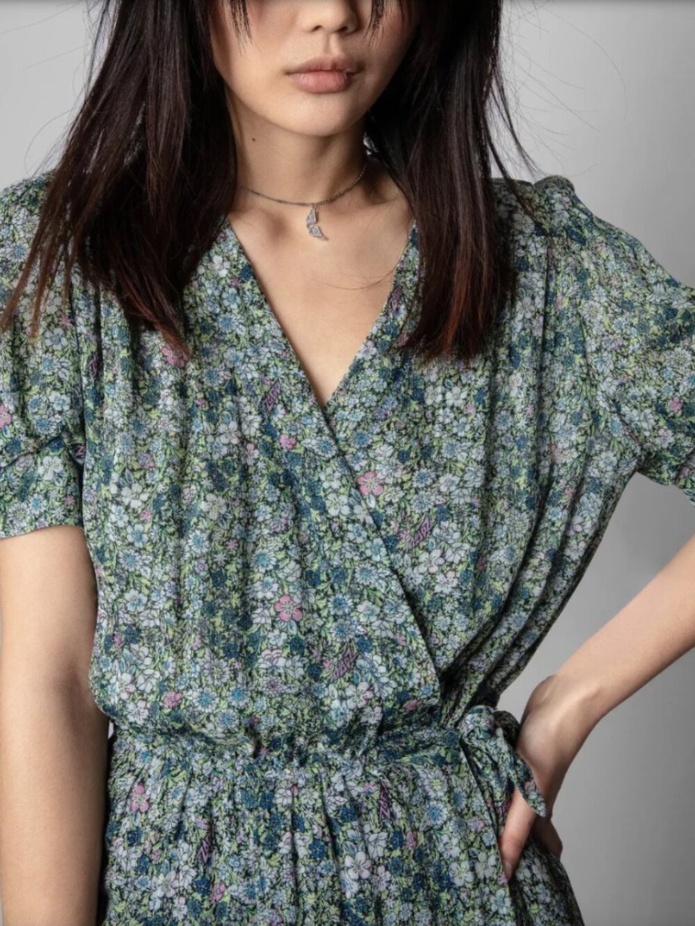 Zadig & Voltaire Betty Garden Chiffon Mini Dress
